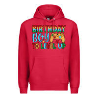 Cardinal birthday boy to level up Premium Hoodie - JahusDesignShop
