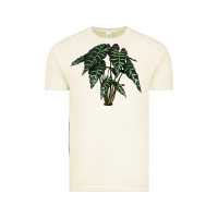 Vintage Arctic Amazon Elephant Ear Vintage Tee - LillyAllenDesigns