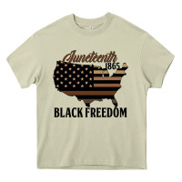Mossy juneteenth 1865 black freedom Heavy Core Tee - HRA Design Shop