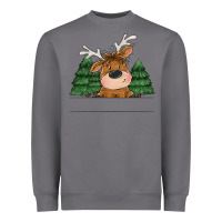 Storm Personalized Christmas deer Heavyweight Sweatshirt - MaliasSmallBusiness