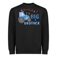 Promoted To Big Brother Heavyweight Sweatshirt | Teevron