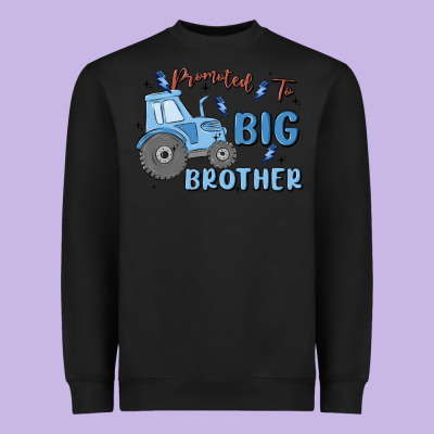 Promoted To Big Brother Heavyweight Sweatshirt Designed By Maliassmallbusiness