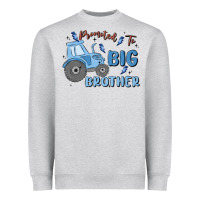 Heather Grey promoted to big brother Heavyweight Sweatshirt - MaliasSmallBusiness
