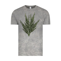 Cloud Rock Botanical Sagebrush Illustrations Vintage Tee - LillyAllenDesigns