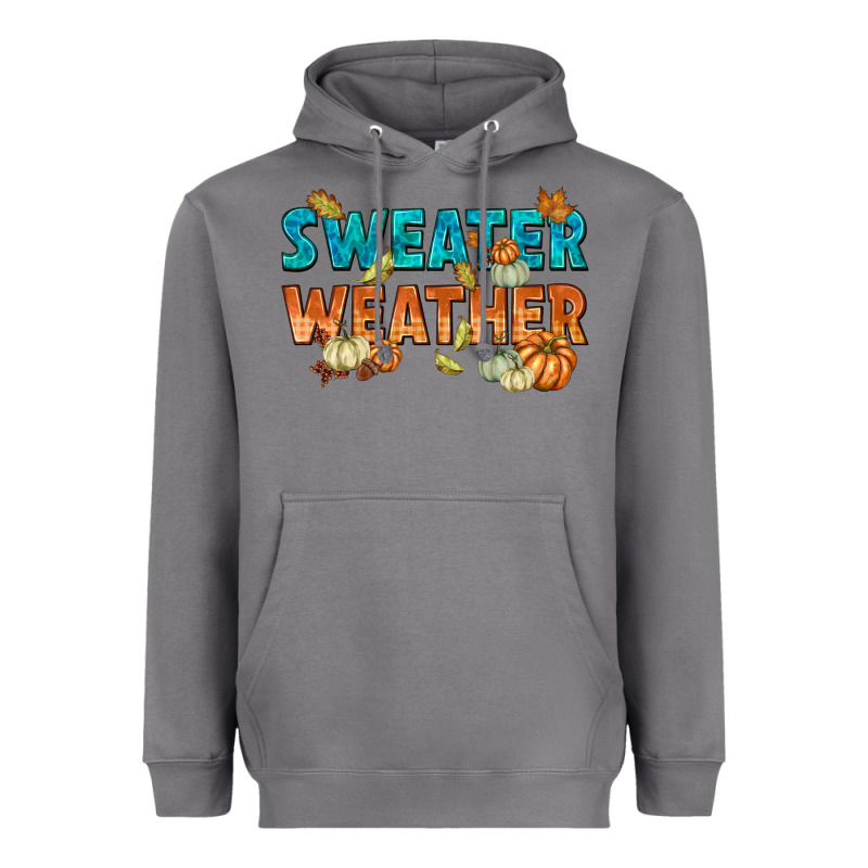Weather Heavyweight Hoodie by texasbilliewilder | Teevron