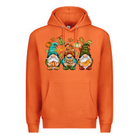 Carrot Fall gnomes Premium Hoodie - NancyCooperArtShop