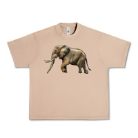 Burro Elephant Urban Heavy Tee - LillyAllenDesigns