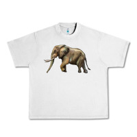 Lunar Rock Elephant Urban Heavy Tee - LillyAllenDesigns