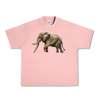 Salmon Elephant Urban Heavy Tee - LillyAllenDesigns