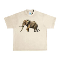 Sandshell Elephant Urban Heavy Tee - LillyAllenDesigns