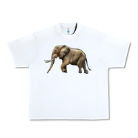 White Elephant Urban Heavy Tee - LillyAllenDesigns