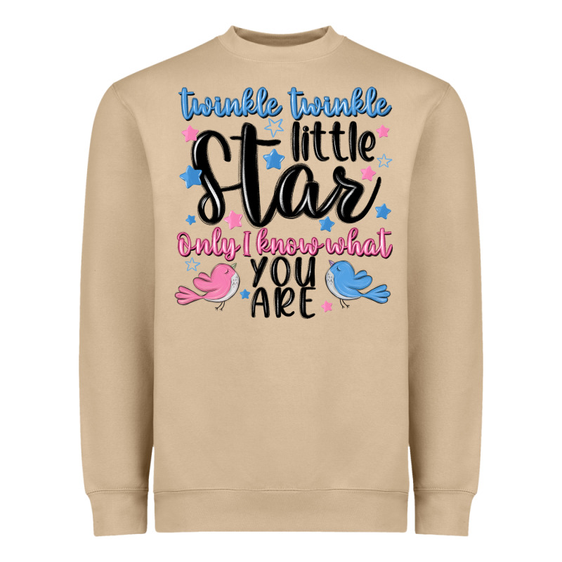 Twinkle Twinkle Little Star Heavyweight Sweatshirt by MaliasSmallBusiness | Teevron