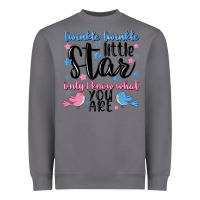 Storm twinkle twinkle little star Heavyweight Sweatshirt - MaliasSmallBusiness