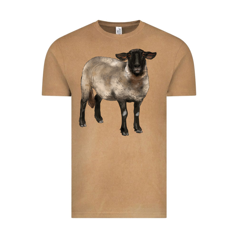 Suffolk Ewe Vintage Tee by BarkalooDesign | Teevron