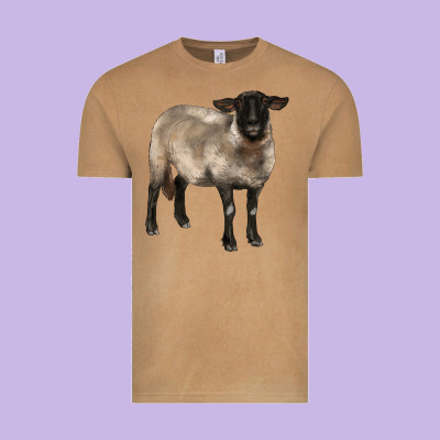 Suffolk Ewe Vintage Tee Designed By Barkaloodesign