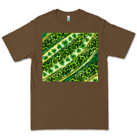 Cacao St. Patrick's Day leopard tumbler Premium Tee - Neo Western