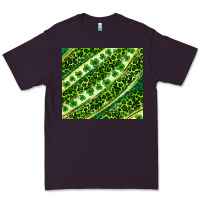 Plum St. Patrick's Day leopard tumbler Premium Tee - Neo Western