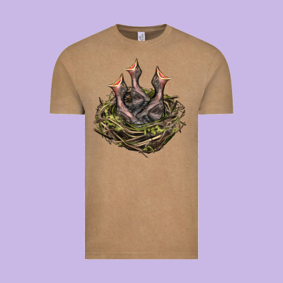 Bird Nest With Baby Birds Vintage Tee Designed By Lillyallendesigns