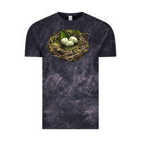 Cloud Black Bird Nest With Eggs Vintage Tee - LillyAllenDesigns