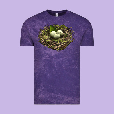 Bird Nest With Eggs Vintage Tee Designed By Lillyallendesigns