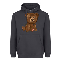 Smoke bear Heavyweight Hoodie - texasbilliewilder