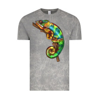 Cloud Rock Chameleon Lizard Illustrations Vintage Tee - LillyAllenDesigns