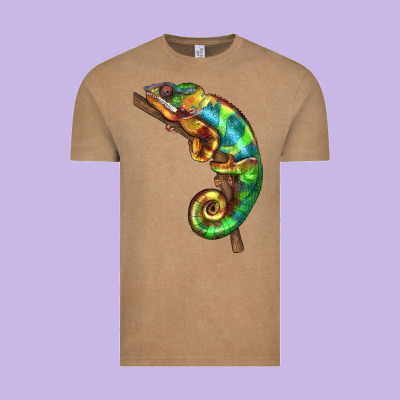 Chameleon Lizard Illustrations Vintage Tee Designed By Lillyallendesigns
