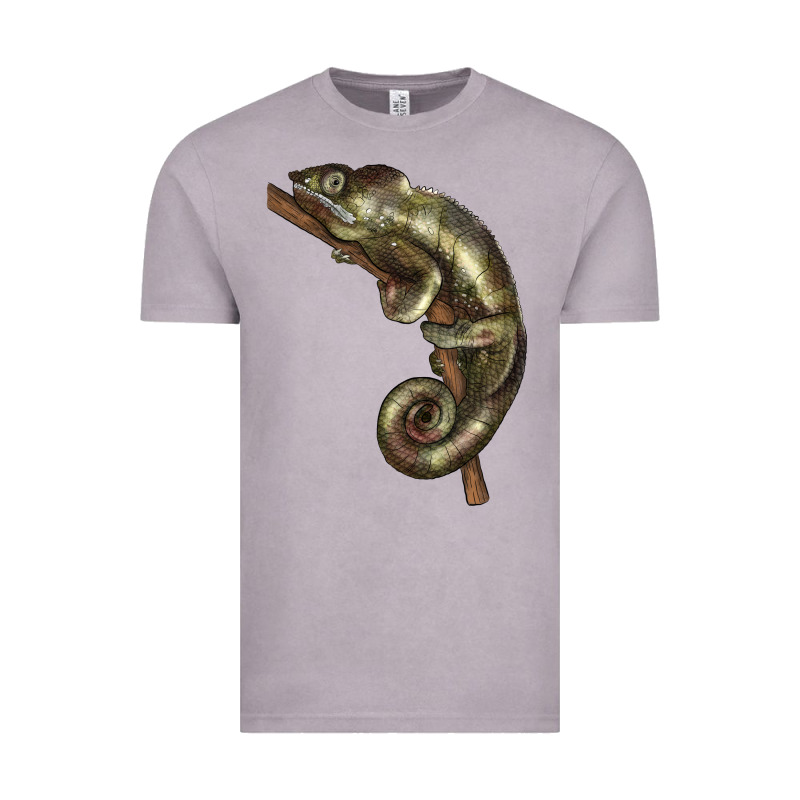 Green Chameleon Lizard Illustrations Vintage Tee by LillyAllenDesigns | Teevron
