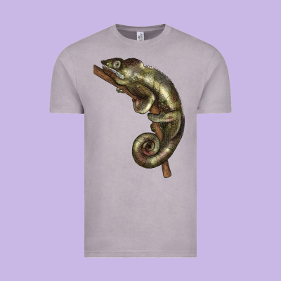 Green Chameleon Lizard Illustrations Vintage Tee Designed By Lillyallendesigns
