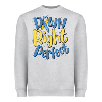 Heather Grey down right perfect Heavyweight Sweatshirt - MaliasSmallBusiness
