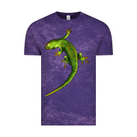 Cloud Purple Green Lizard Illustrations Vintage Tee - LillyAllenDesigns