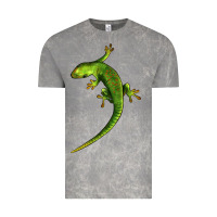 Cloud Rock Green Lizard Illustrations Vintage Tee - LillyAllenDesigns
