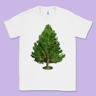 White Pine Tree Illustrations Classic Tee Designed By Lillyallendesigns