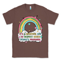 Chestnut beautiful day to respect pronouns Classic Tee - MaliasSmallBusiness