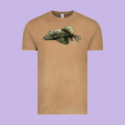 Bristlenose Placo Vintage Tee Designed By Lillyallendesigns