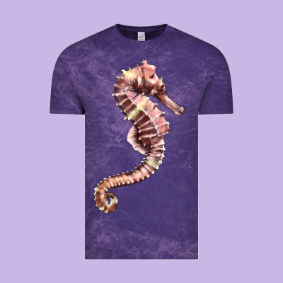 Pink Seahorse Vintage Tee Designed By Lillyallendesigns