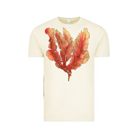 Vintage Arctic pink venus fan sea coral Vintage Tee - LillyAllenDesigns
