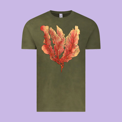 Pink Venus Fan Sea Coral Vintage Tee Designed By Lillyallendesigns