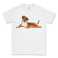 White Boxer Dog Illustrations Classic Tee - LillyAllenDesigns
