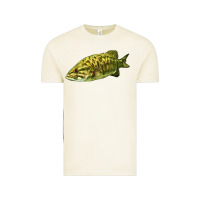 Vintage Arctic Smallmouth Bass Fish Illustrations Vintage Tee - LillyAllenDesigns