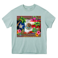 Arona mexico and puerto rico Heavy Core Tee - CTS Tumbler Store