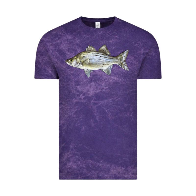 White Bass Fish Illustrations Vintage Tee by LillyAllenDesigns | Teevron