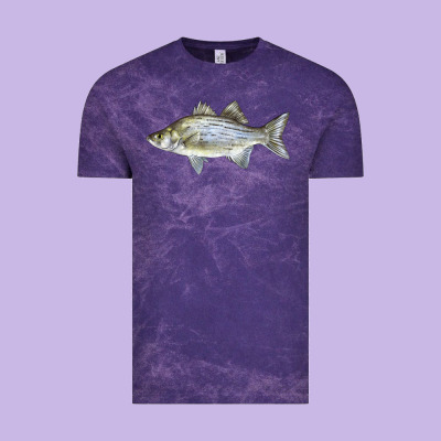 White Bass Fish Illustrations Vintage Tee Designed By Lillyallendesigns