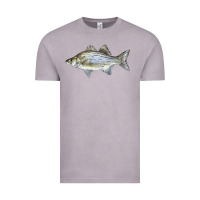 Vintage Zinc White Bass Fish Illustrations Vintage Tee - LillyAllenDesigns