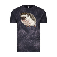 Cloud Black Hedgehog Illustrations Vintage Tee - LillyAllenDesigns