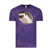 Cloud Purple Hedgehog Illustrations Vintage Tee - LillyAllenDesigns