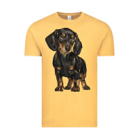 Vintage Mustard dachshund Vintage Tee - BarkalooDesign