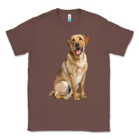 Chestnut Labrador Retriever llustrations Classic Tee - LillyAllenDesigns