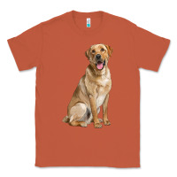Copper Labrador Retriever llustrations Classic Tee - LillyAllenDesigns