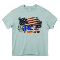 Arona usa  statue of liberty Heavy Core Tee - BarkalooDesign